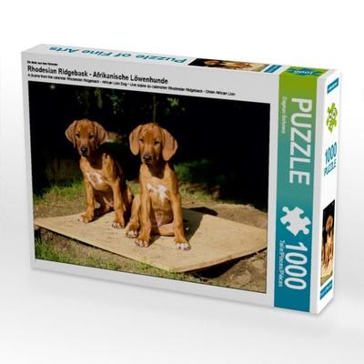 CALVENDO Puzzle Rhodesian Ridgeback Hündinnen | 1000 Teile Lege-Größe 64x48cm Foto-Puzzle für glückliche Stunden