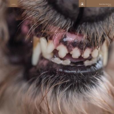 WORLD EATER (Ltd.Clear with Red Splatter Vinyl) - Blanck Mass, Vinyl