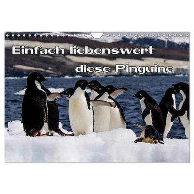 Einfach liebenswert diese Pinguine (Wandkalender 2026 DIN A4 quer), CALVENDO Monatskalender