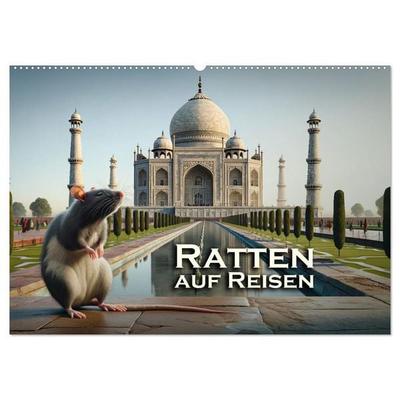 Ratten auf Reisen (Wandkalender 2026 DIN A2 quer), CALVENDO Monatskalender
