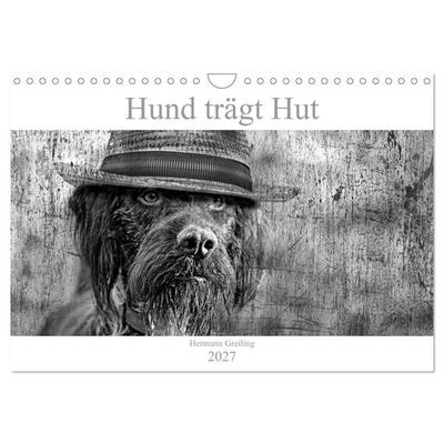 Hund trägt Hut (Wandkalender 2027 DIN A4 quer), CALVENDO Monatskalender