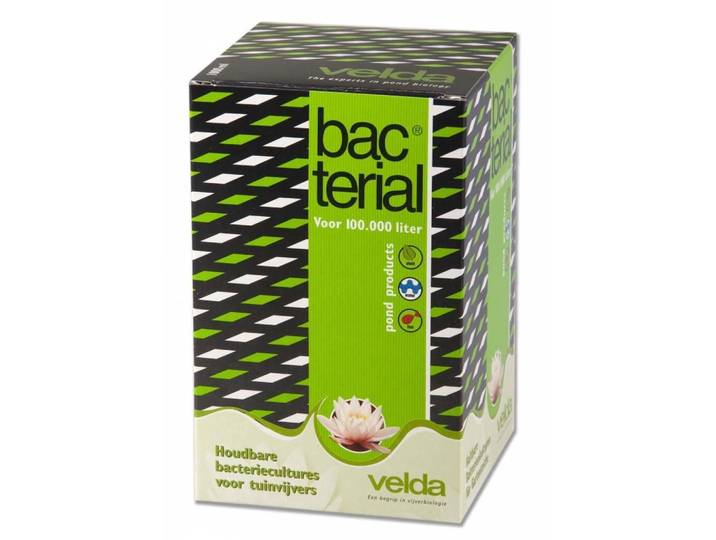 Velda bacterial 1000 ml
