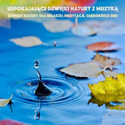 Uspokajające Dźwięki Natury z Muzyką: Dźwięki natury dla relaksu, medytacji, głębokiego snu - Yella A. Deeken, Audio, 4057664479310
