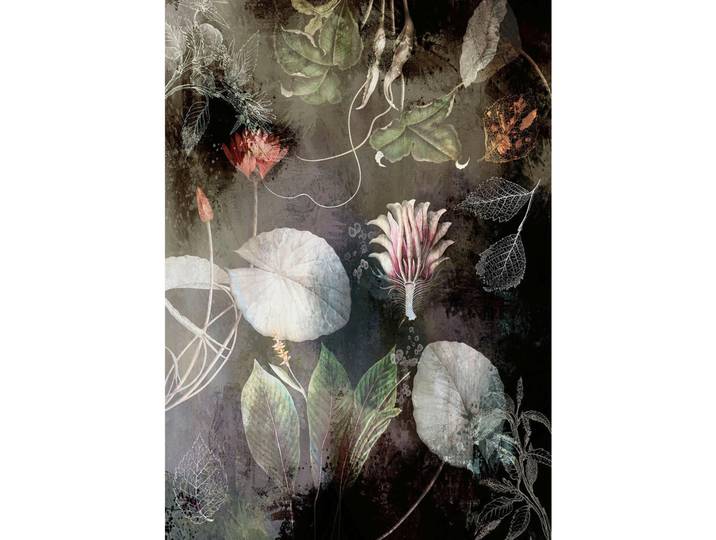 Komar Fototapete, bunt, Papier, Floral, 200x280 cm, Tapeten & Wandverkleidungen, Fototapeten