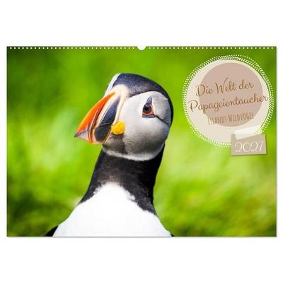 Die Welt der Papageientaucher - Islands Wildvögel (Wandkalender 2027 DIN A2 quer), CALVENDO Monatskalender