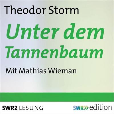 Unter dem Tannenbaum - Theodor Storm, Audio, 9783956154140