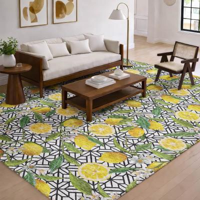 Addison Rugs Premium Washable Super Soft Lemons Dream Shag Rug