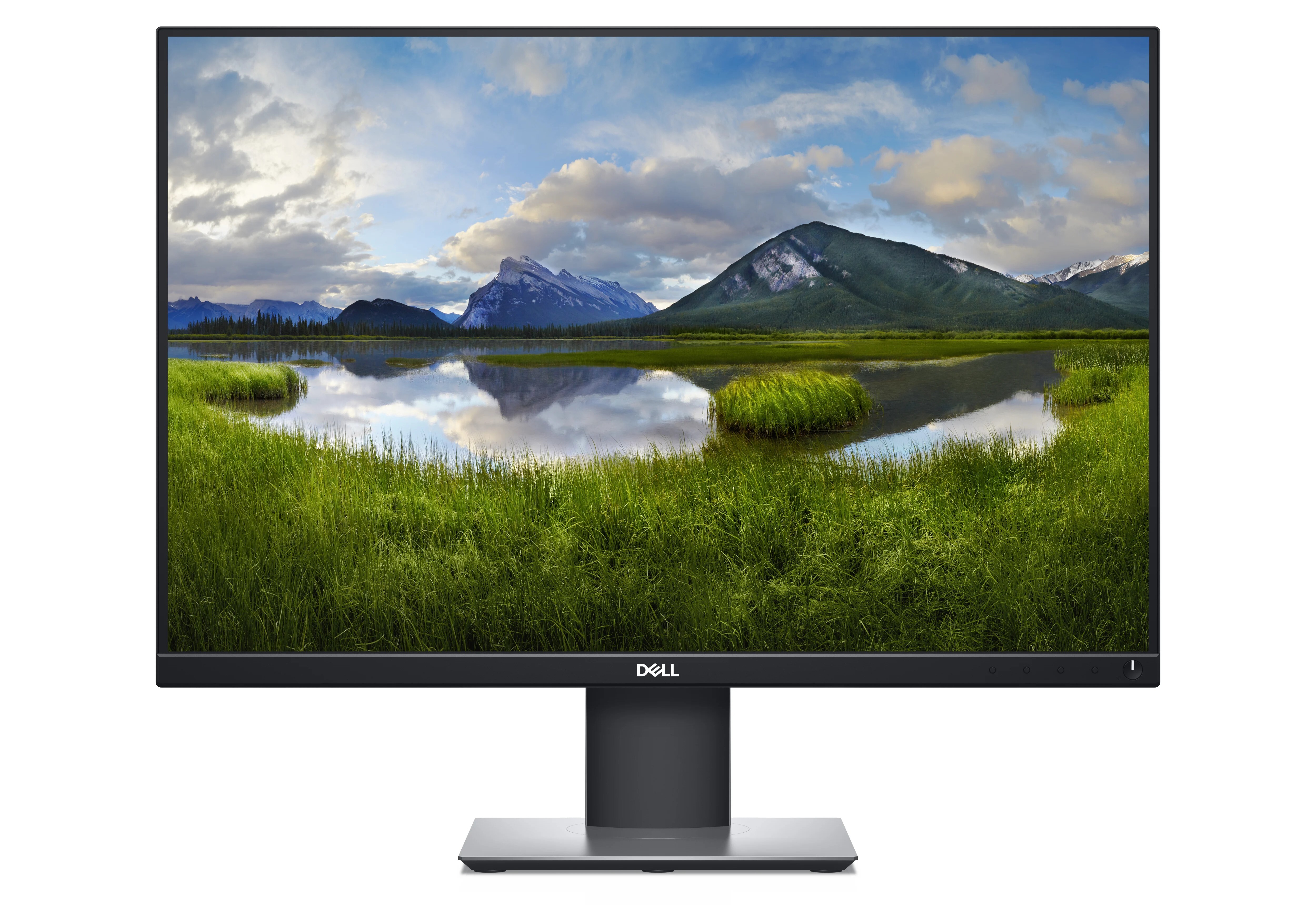 DELL P2421, 61,2 cm (24.1"), 1920 x 1200 Pixel, WUXGA, LCD, 8 ms, Schwarz