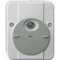 Dämmerungsschalter mit Schaltverzögerung Typ 544894, Aufputz, wassergeschützt grau (glänzend), Retail