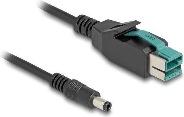 Delock PoweredUSB-kabel met 12V naar DC 5,5 x 2,5 mm stekker, 1 meter