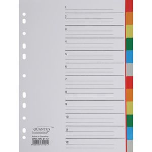 Quantus Register Kunststoff, A4, blanko, 12-teilig, vollfarbig