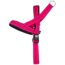 Arka Norvege Neo (XL, Hund, Allgemein, Hundesport, Spazieren), Halsband + Leine