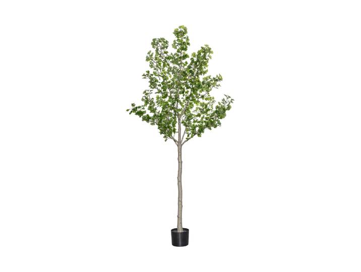 Lebensechte Kunstpflanze „Ginko Biloba Tree XL“, Ø 50 x 270 cm Grün Baq Design