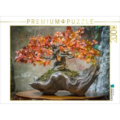 CALVENDO Puzzle Bonsai - Die Seele der Natur | 2000 Teile Lege-Größe 90x67cm Foto-Puzzle für glückliche Stunden