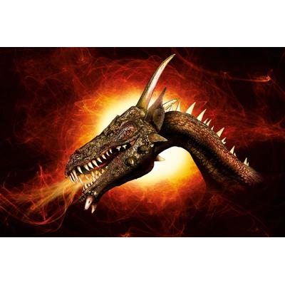 Fototapete PAPERMOON "Drache", bunt, B:2m L:1,49m, Vlies, Tapeten