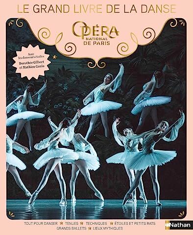 Delphine Godard - Le grand livre de la danse - Preis vom 07.10.2026 11:45:10 h