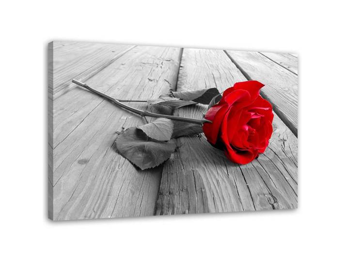 Feeby Wandbild Rote Rose 100x70cm, Baum/Pflanze/Natur, Rechteckig, 100x70 cm, Bilder & Rahmen, Bilder, Leinwandbilder