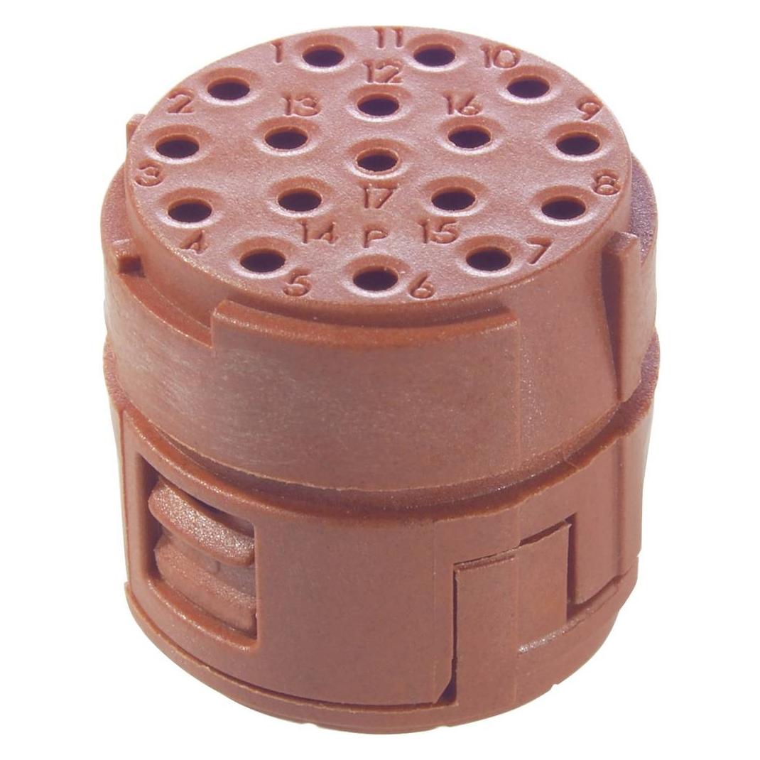 Lapp EPIC SIGNAL M23 P Einsätze, 1 (73008010)