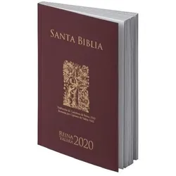 Spanisch Reina Valera 2020, Fachbücher