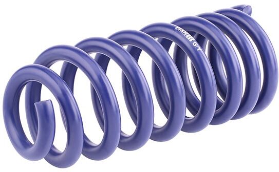 H&R 28669HA1 Coil spring