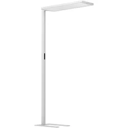 Performance in Light LED-Stehleuchte 3123754