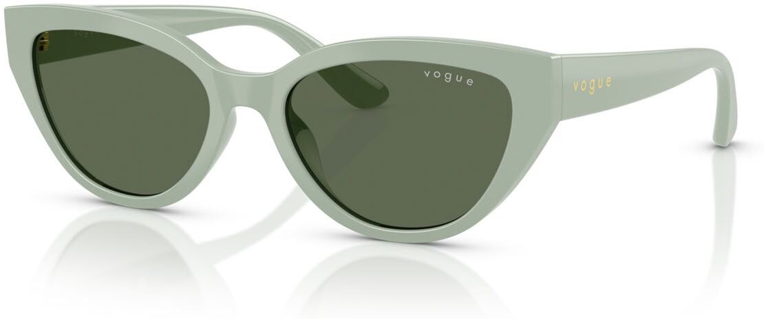 Sonnenbrille Vogue VJ 2026 (318371)