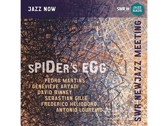 Spider'S Egg