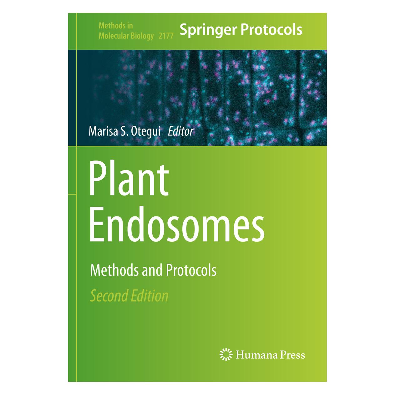 Springer Plant Endosomes (Englisch, Softcover) (56194410)