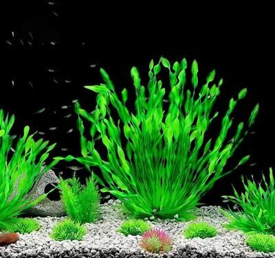 Uplift Essentials Artificial Aquarium Plants With Ceramic Base For Fish Tanks 23 Cm (9.06 In)