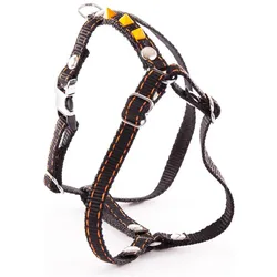 Martin Sellier Fluoreszierendes Hundegeschirr (Hund, Spazieren), Halsband + Leine