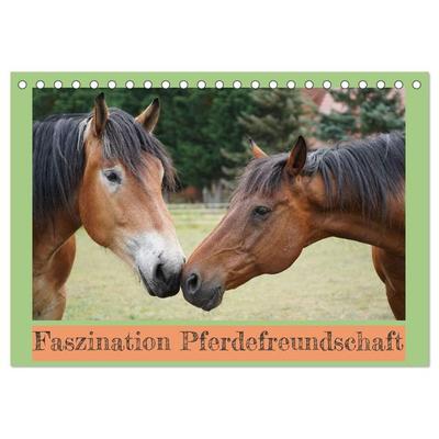 Faszination Pferdefreundschaft (Tischkalender 2026 DIN A5 quer), CALVENDO Monatskalender