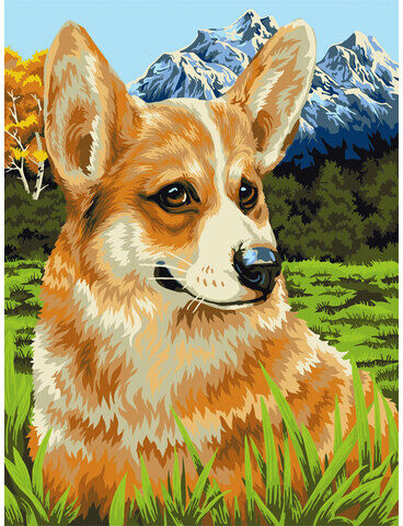 Malen nach Zahlen "Corgi", 30 x 40 cm