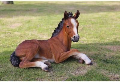 Hi-Line Gift Ltd. Large Horse Colt Laying Down Statue
