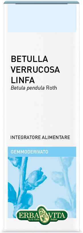 Erba Vita Gemmoderivato Betulla Verrucosa Linfa 50 ml - Integratore Drenante