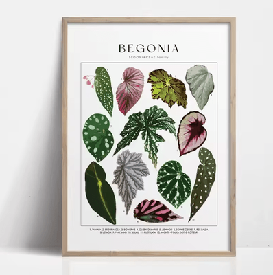 Inspire Picks Green Botanical Leaves Canvas Wall Art Calming Nature Houseplant Decor 9 30x40cm