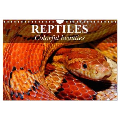 Reptiles Colorful beauties (Wall Calendar 2026 DIN A4 landscape), CALVENDO 12 Month Wall Calendar