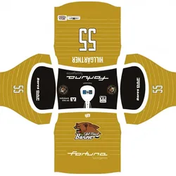 Das offizielle Bitburger Eissportverein e.V. - Eifel-Mosel Bären Fan Trikot | Gold Junior 120