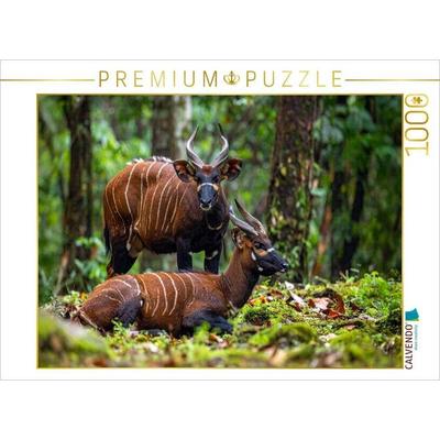 CALVENDO Puzzle Bongo Antilopen in der Wildnis | 1000 Teile Lege-Größe 64x48cm Foto-Puzzle für glückliche Stunden