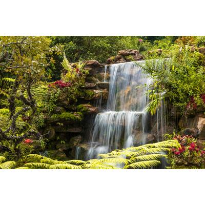 Papermoon "WASSERFALL-FLUSS SEE WALD STEINE BLUMEN BERGE BACH XXL"