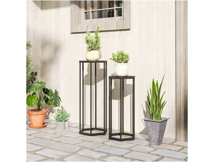 Lot de 2 supports pour plantes hexagonaux en métal noir 75/60 cm