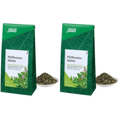 Pfefferminzblätter Arzneitee Bio Salus 2x 2x50 g Tee