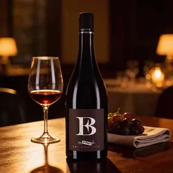 Emil Bauer & Söhne 2023 Emil Bauer Nebbiolo Nussdorf trocken 2023 Nebbiolo Deutschland