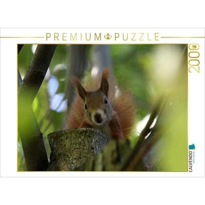 CALVENDO Puzzle Putzige Nager | 2000 Teile Lege-Größe 90 × 67 cm Foto-Puzzle für glückliche Stunden, von , Calvendo Puzzle