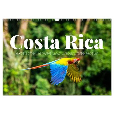 Costa Rica - exotische Tierwelt und unberührte Natur (Wandkalender 2026 DIN A3 quer), CALVENDO Monatskalender