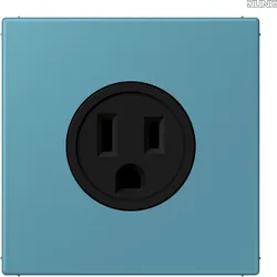 Jung LC521-15212 Steckdose US-Norm NEMA LC32031