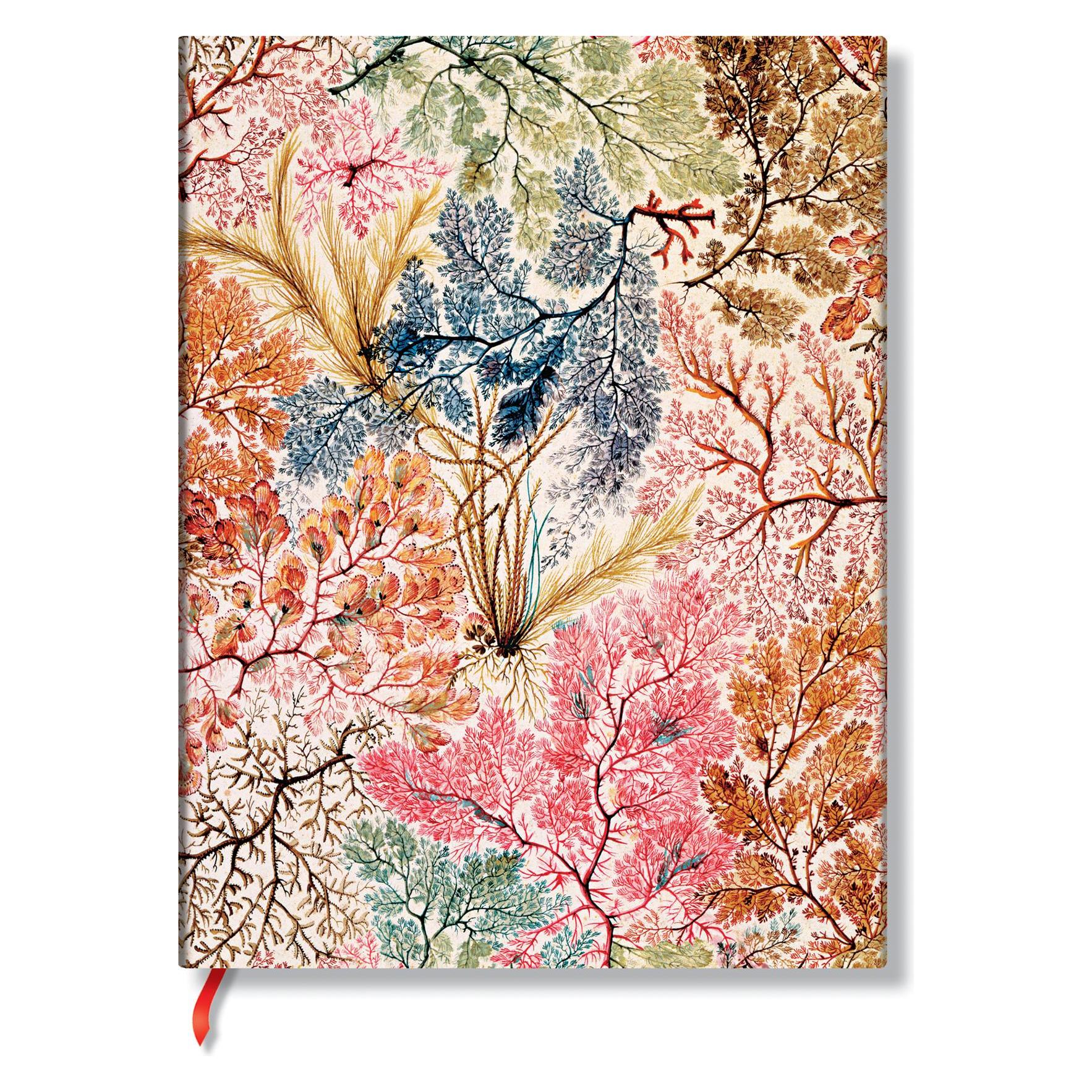 Paperblanks NotizbuchAnemone (Liniert, Weicher Einband) (54633807)