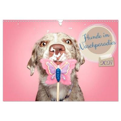 Hunde im Naschparadies... wo jeder Monat zum Anbeißen ist (Wandkalender 2027 DIN A3 quer), CALVENDO Monatskalender