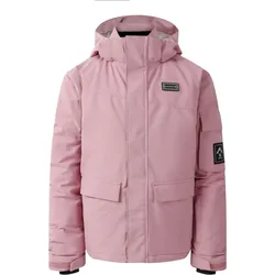 Dare2b, Unisex, Skijacke, Shredder (152), Violett