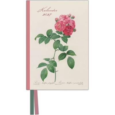 Redoutes Rosen 2027