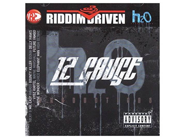 Various - 12 Gauge (Riddim Driven)